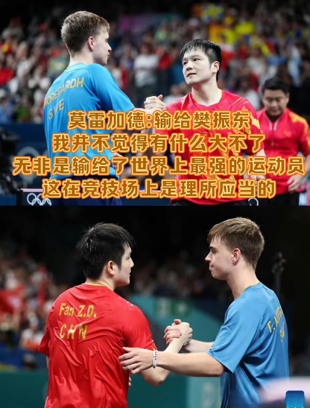 波兰队完胜瑞典队，樊振东惊艳四座