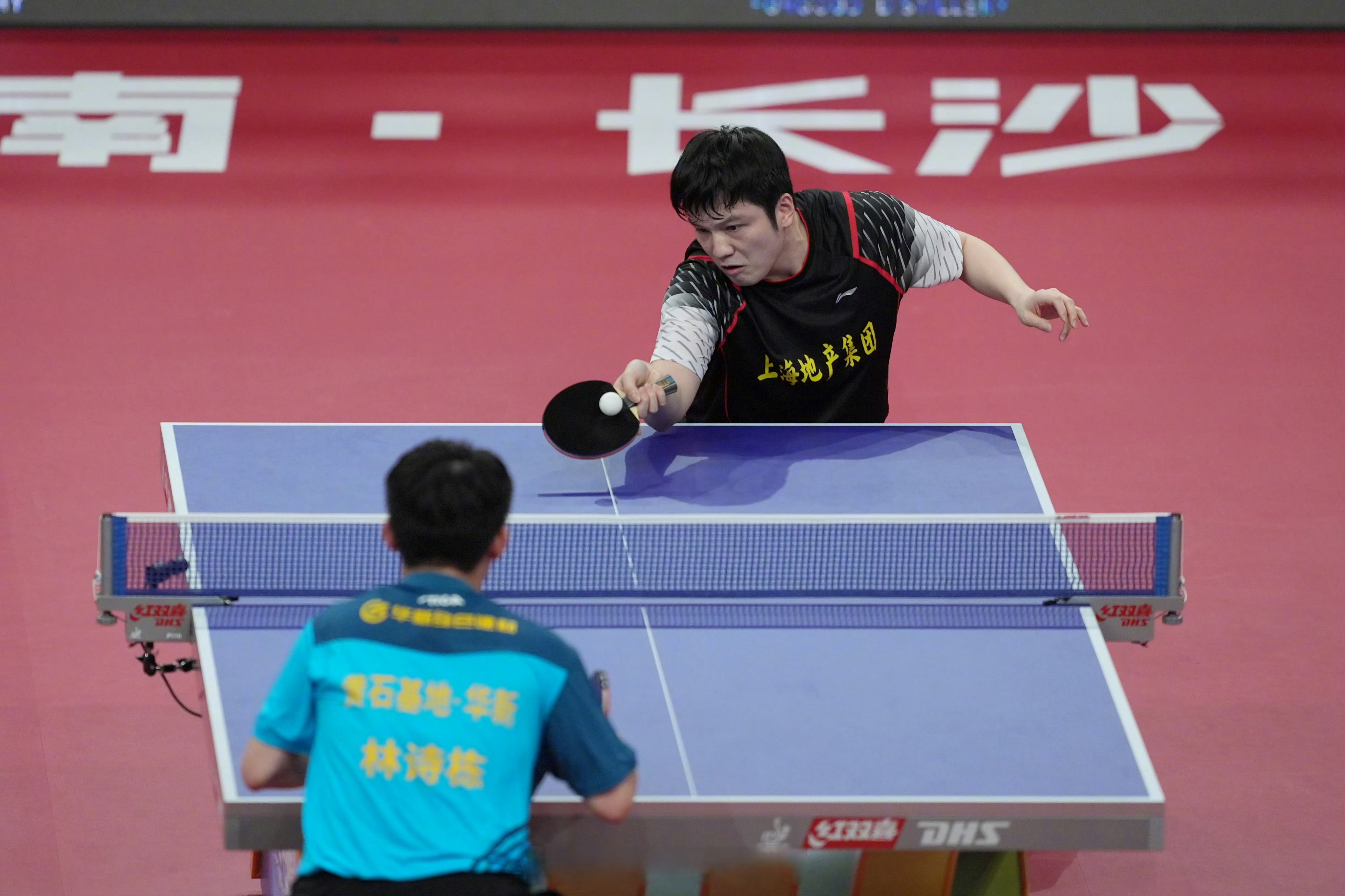 德国队横扫中国队,樊振东关键制胜 德国队横扫中国队,樊振东关键制胜