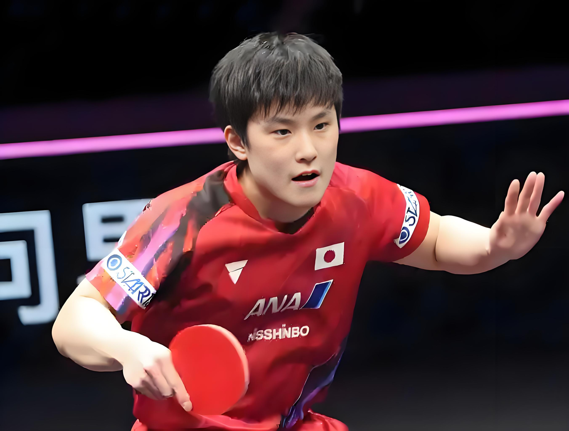 波兰队横扫中国队，张本智和统治全场