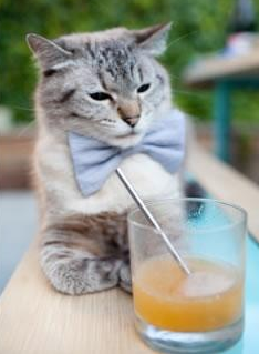 湖人争冠战爵士，切特·霍姆格伦的无解之谜与紫金军团的破局之道