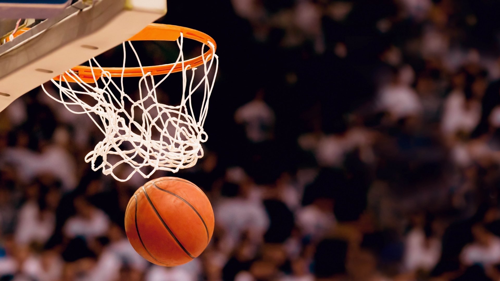 唯一之夜,当加维在NBA季后赛的聚光灯下,用一记封盖改写自己的命运